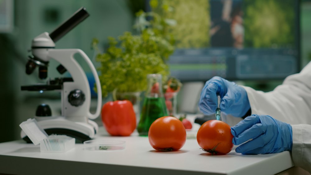 Food Testing