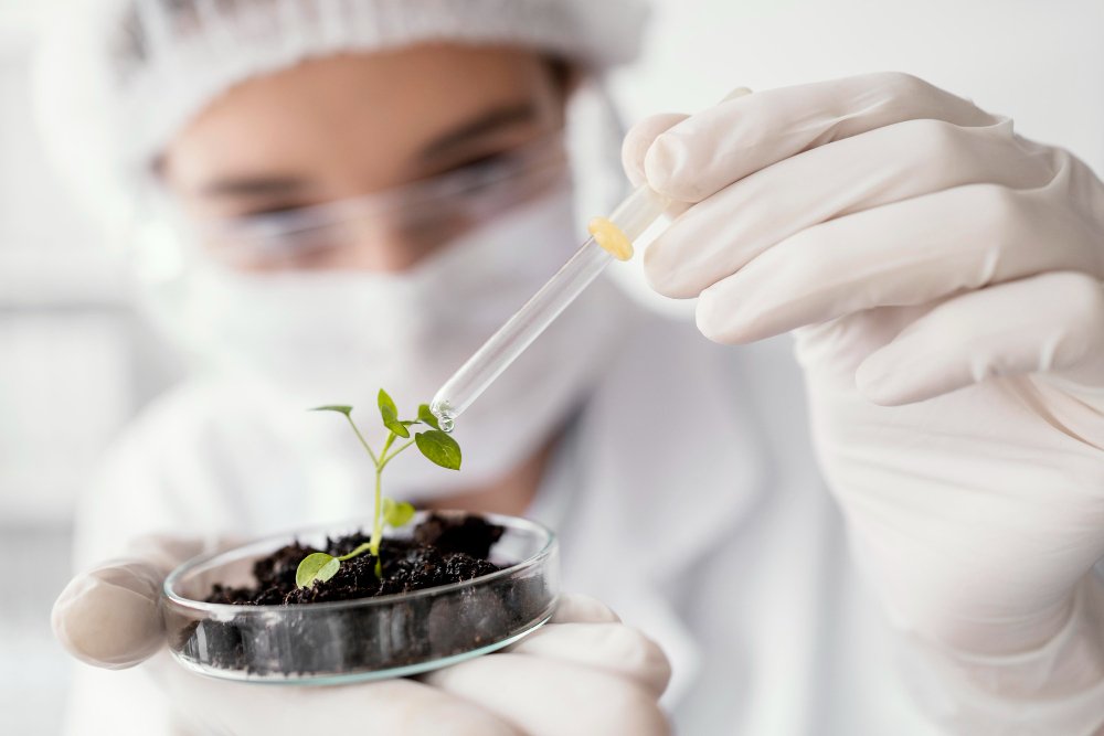 Soil Testing